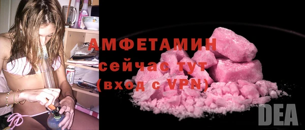 стаф Осинники
