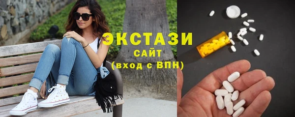 стаф Осинники