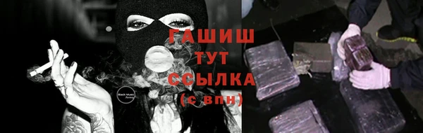 стаф Осинники