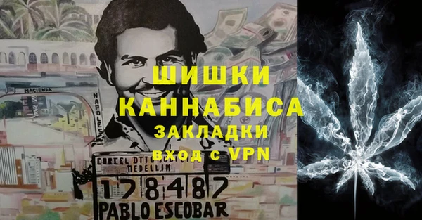 стаф Осинники