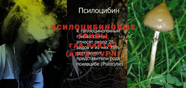 соль курить ск Переславль-Залесский