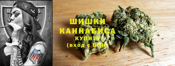 стаф Осинники
