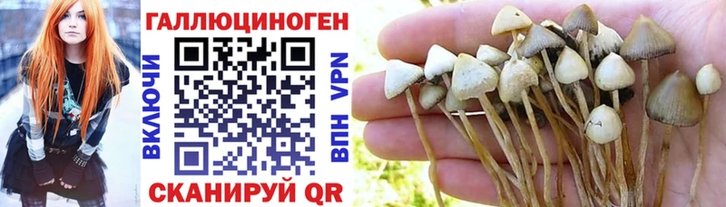 Псилоцибиновые грибы MAGIC MUSHROOMS  купить   Кохма 