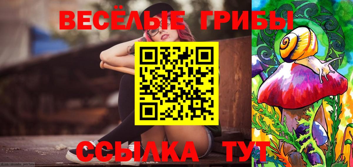 Кохма  Псилоцибиновые грибы Psilocybe  Вход с VPN  хочу наркоту  Галлюциногенные грибы Magic Shrooms 